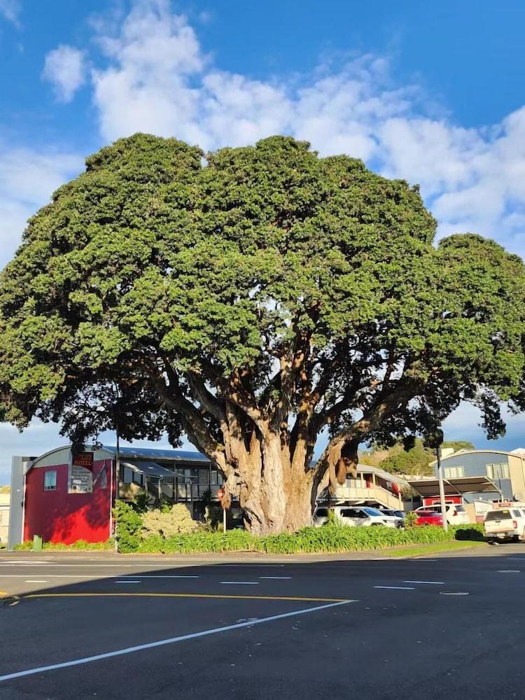 Landmark Manor New Plymouth Extérieur photo